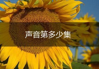 声音第多少集