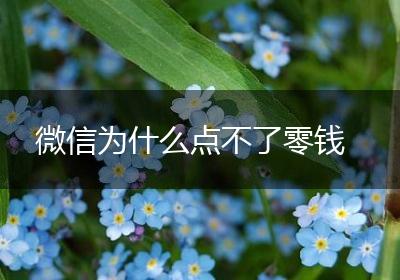 微信为什么点不了零钱