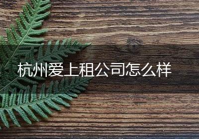 杭州爱上租公司怎么样