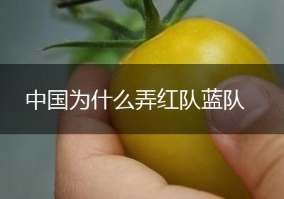 中国为什么弄红队蓝队