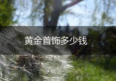 黄金首饰多少钱