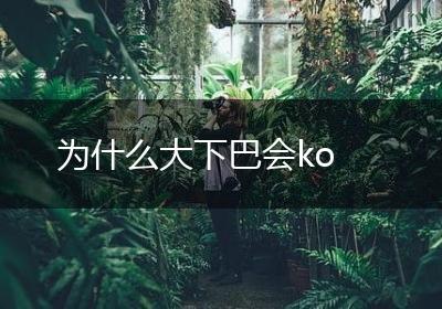 为什么大下巴会ko