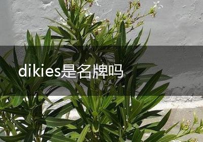 dikies是名牌吗