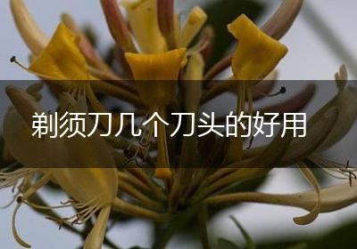 剃须刀几个刀头的好用