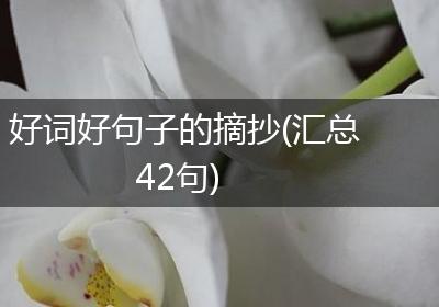 好词好句子的摘抄(汇总42句)