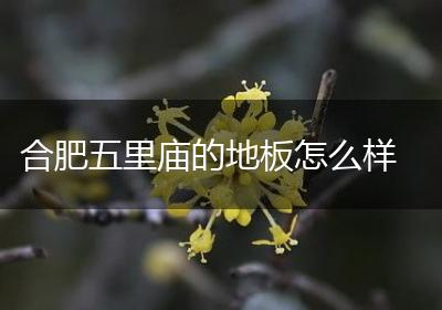 合肥五里庙的地板怎么样