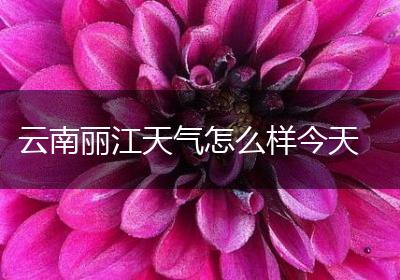 云南丽江天气怎么样今天