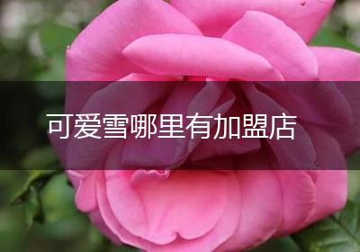 可爱雪哪里有加盟店