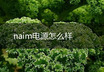 naim电源怎么样
