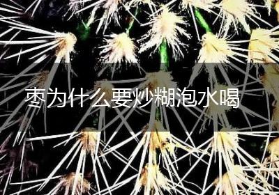 枣为什么要炒糊泡水喝