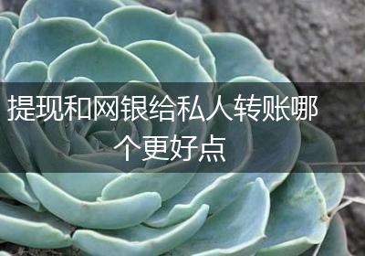 提现和网银给私人转账哪个更好点