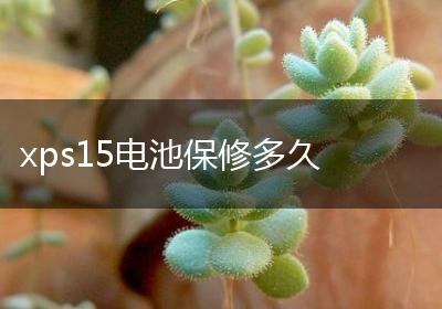 xps15电池保修多久