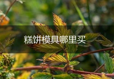 糕饼模具哪里买