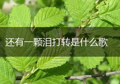 还有一颗泪打转是什么歌