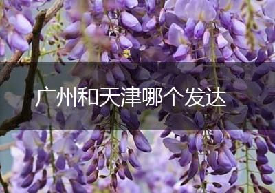 广州和天津哪个发达