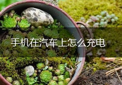 手机在汽车上怎么充电
