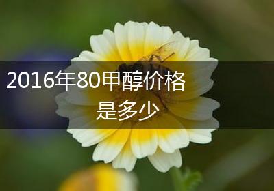 2016年80甲醇价格是多少