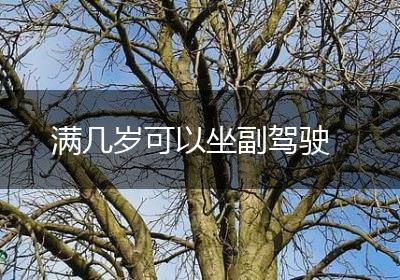 满几岁可以坐副驾驶