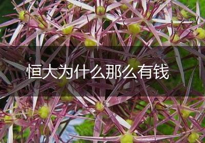 恒大为什么那么有钱