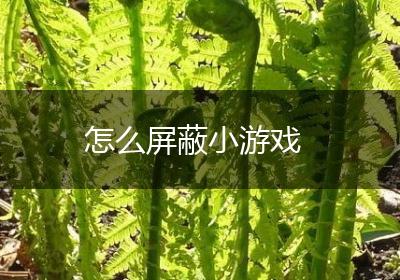 怎么屏蔽小游戏