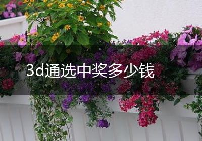 3d通选中奖多少钱
