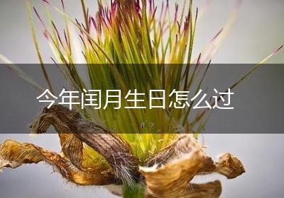 今年闰月生日怎么过