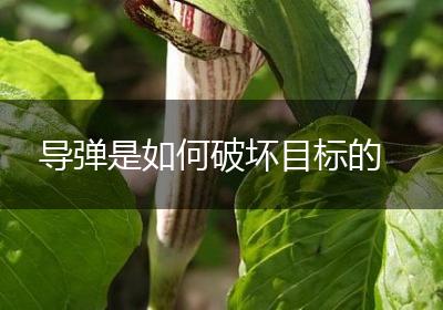导弹是如何破坏目标的