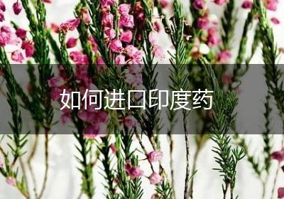 如何进口印度药