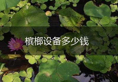 槟榔设备多少钱