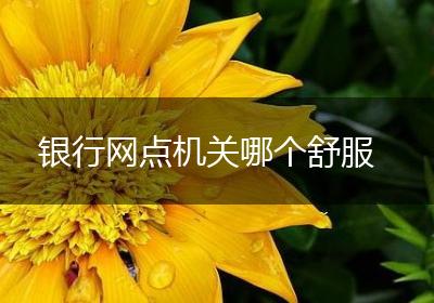 银行网点机关哪个舒服