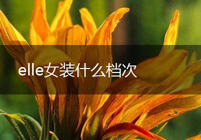 elle女装什么档次