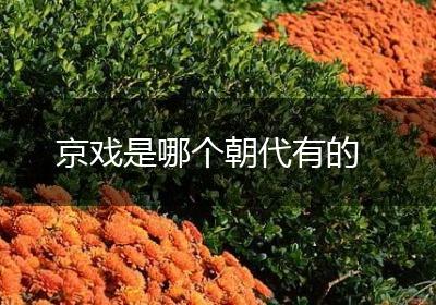 京戏是哪个朝代有的