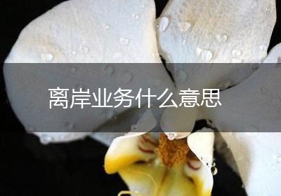 离岸业务什么意思