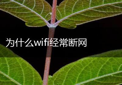 为什么wifi经常断网