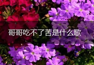 哥哥吃不了苦是什么歌