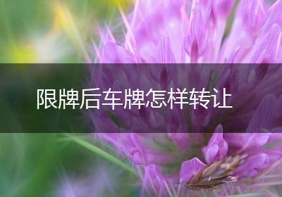 限牌后车牌怎样转让