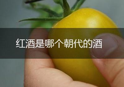 红酒是哪个朝代的酒