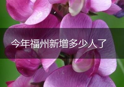 今年福州新增多少人了
