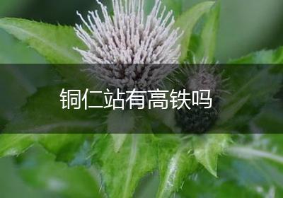 铜仁站有高铁吗