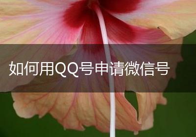 如何用QQ号申请微信号