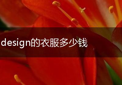 design的衣服多少钱