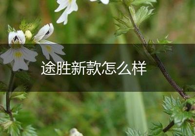 途胜新款怎么样