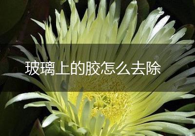 玻璃上的胶怎么去除