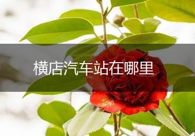 横店汽车站在哪里