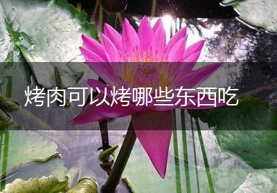 烤肉可以烤哪些东西吃