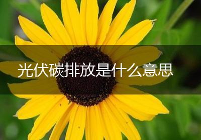 光伏碳排放是什么意思