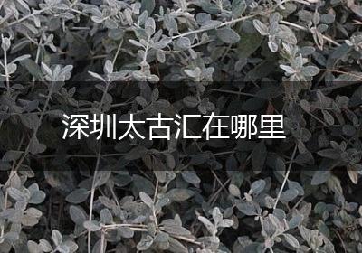 深圳太古汇在哪里