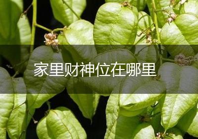 家里财神位在哪里