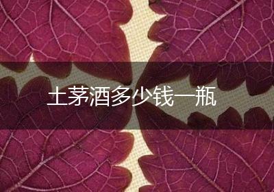 土茅酒多少钱一瓶