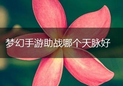 梦幻手游助战哪个天脉好